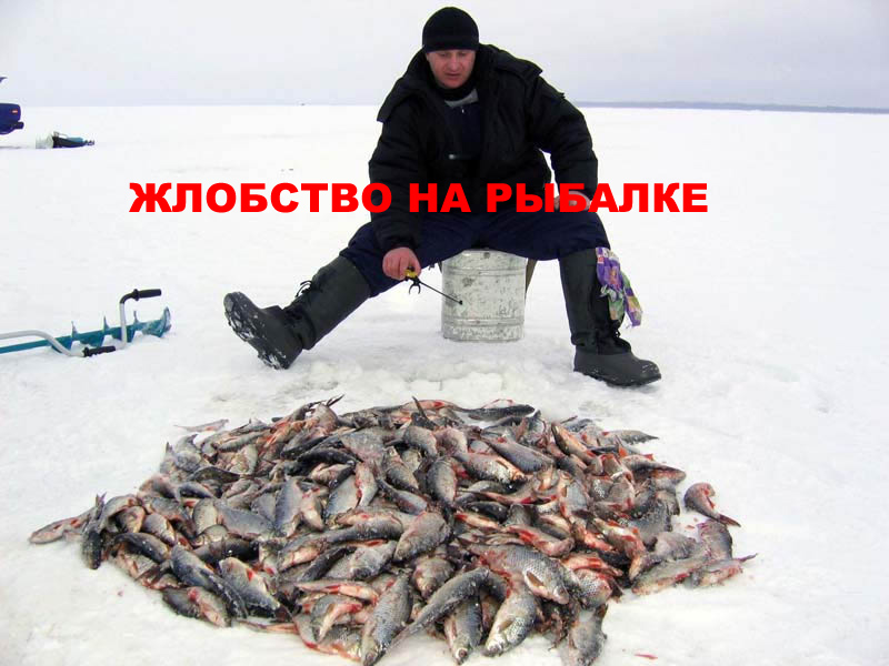 2_04_pandursky_org_ua.jpg