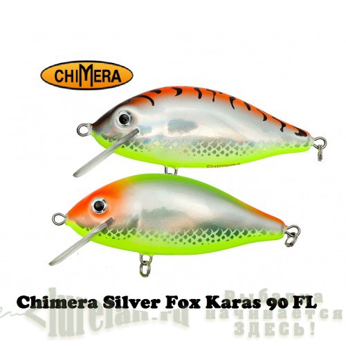 Chimera_Silver_Fox_Karas_90FL.jpg